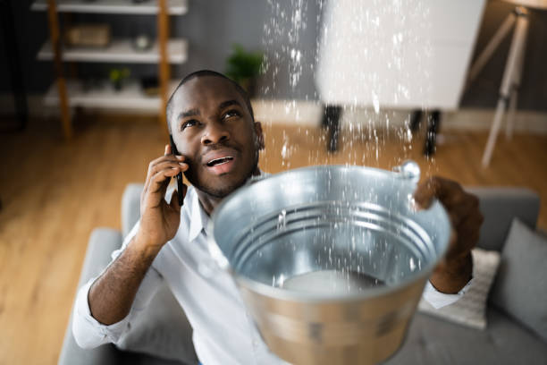  Inglewood, CA Water damage restoration Pros