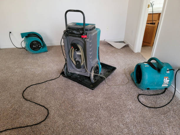 Water damage restoration insurance claims in Inglewood, CA