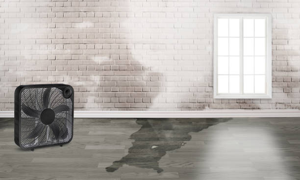Best Sewage cleanup and water damage restoration  in Inglewood, CA