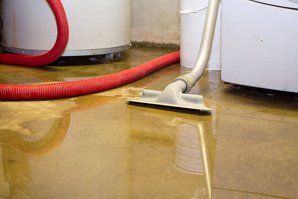 Best Water damage cleanup near me  in Inglewood, CA