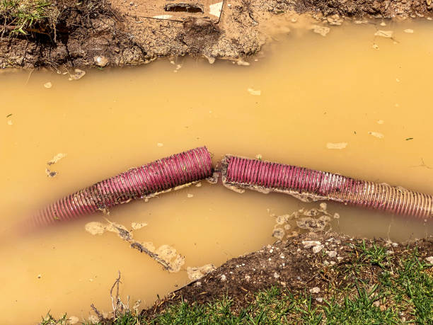 Best Emergency water damage restoration  in Inglewood, CA